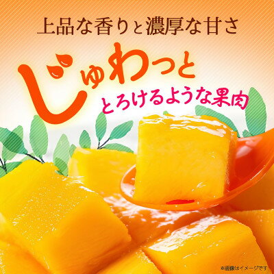 【ふるさと納税】【2026年6月から順次発送・訳あり】アップルマンゴー1.5kg(3～6玉)【配送不可地域：離島】【1681760】 サムネイル2