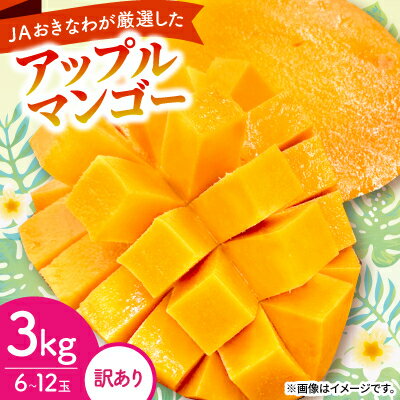 【2026年6月から順次発送・訳あり】アップルマンゴー3.0kg(6～12玉)【配送不可地域：離島】【1681762】