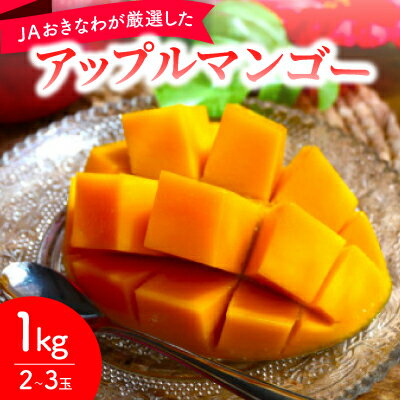 【2026年6月から順次発送・化粧箱】JAおきなわが厳選したアップルマンゴー1kg(2～3玉)【配送不可地域：離島】【1681767】