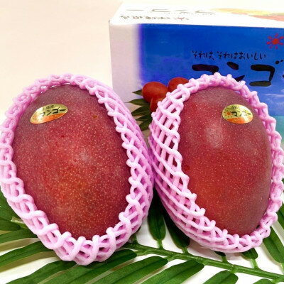 【ふるさと納税】【2026年6月から順次発送・化粧箱】JAおきなわが厳選したアップルマンゴー1kg(2～3玉)【配送不可地域：離島】【1681767】 サムネイル3