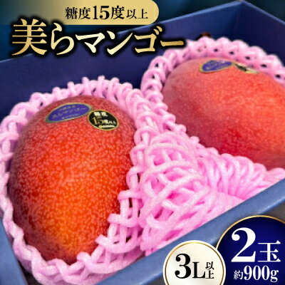 【2026年6月から順次発送・数量限定】糖度15度以上を選別した「美らマンゴー」約900g(2玉)【配送不可地域：離島】【1681771】