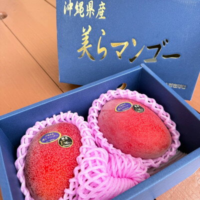 【ふるさと納税】【2026年6月から順次発送・数量限定】糖度15度以上を選別した「美らマンゴー」約900g(2玉)【配送不可地域：離島】【1681771】 サムネイル2