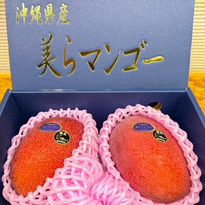 【ふるさと納税】【2026年6月から順次発送・数量限定】糖度15度以上を選別した「美らマンゴー」約900g(2玉)【配送不可地域：離島】【1681771】 サムネイル3