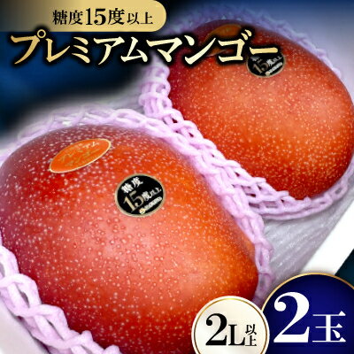 【2026年6月から順次発送・数量限定】糖度15度以上を選別した「プレミアムマンゴー」2玉【配送不可地域：離島】【1681773】