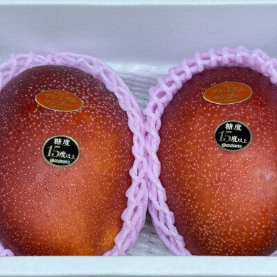 【ふるさと納税】【2026年6月から順次発送・数量限定】糖度15度以上を選別した「プレミアムマンゴー」2玉【配送不可地域：離島】【1681773】 サムネイル2