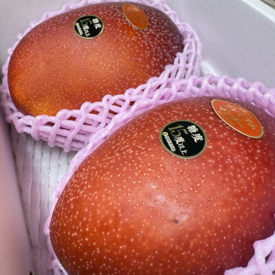 【ふるさと納税】【2026年6月から順次発送・数量限定】糖度15度以上を選別した「プレミアムマンゴー」2玉【配送不可地域：離島】【1681773】 サムネイル3