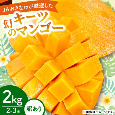 【2026年8月から順次発送・訳あり】JAおきなわ厳選した幻のキーツマンゴー2kg(2～3玉)【配送不可地域：離島】【1681780】
