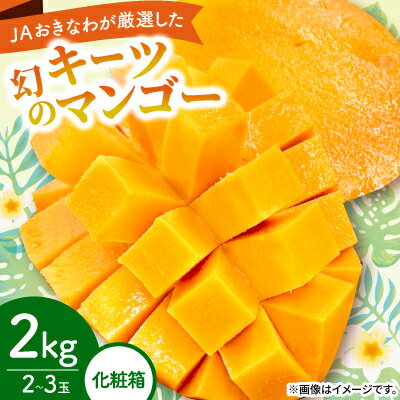 【2026年8月から順次発送・化粧箱】JAおきなわ厳選した幻のキーツマンゴー2kg(2～3玉)【配送不可地域：離島】【1681785】