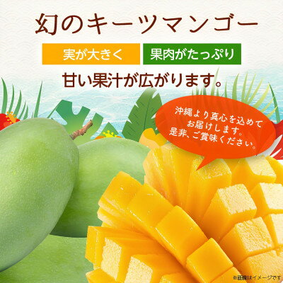 【ふるさと納税】【2026年8月から順次発送・化粧箱】JAおきなわ厳選した幻のキーツマンゴー2kg(2～3玉)【配送不可地域：離島】【1681785】 サムネイル3