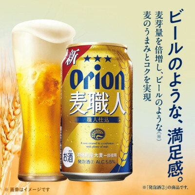 【ふるさと納税】【毎月定期便】オリオン麦職人 1ケース(350ml×24本)オリオンビール全6回【4075452】 サムネイル2