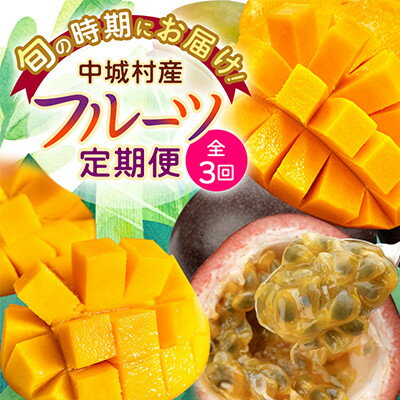 【発送月固定定期便】2026年発送 JAおきなわが厳選する南国フルーツ定期便全3回【配送不可地域：離島】【4077025】