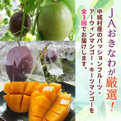 【ふるさと納税】【発送月固定定期便】2026年発送 JAおきなわが厳選する南国フルーツ定期便全3回【配送不可地域：離島】【4077025】 サムネイル2