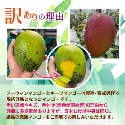 【ふるさと納税】【発送月固定定期便】2026年発送 JAおきなわが厳選する南国フルーツ定期便全3回【配送不可地域：離島】【4077025】 サムネイル3