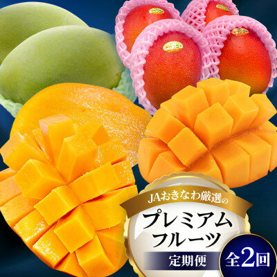 【発送月固定定期便】2026年発送 JAおきなわ厳選のプレミアムフルーツ定期便全2回【配送不可地域：離島】【4077040】