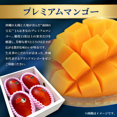 【ふるさと納税】【発送月固定定期便】2026年発送 JAおきなわ厳選のプレミアムフルーツ定期便全2回【配送不可地域：離島】【4077040】 サムネイル2