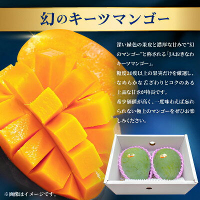 【ふるさと納税】【発送月固定定期便】2026年発送 JAおきなわ厳選のプレミアムフルーツ定期便全2回【配送不可地域：離島】【4077040】 サムネイル3