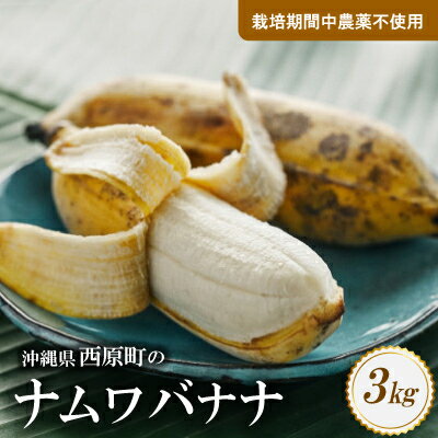 西原町の栽培期間中農薬不使用のナムワバナナ3kg【1616143】