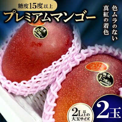 【2026年6月から順次発送】糖度15度以上!JAおきなわが厳正したプレミアムマンゴー2玉【配送不可地域：離島】【1641002】