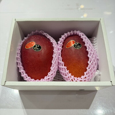 【ふるさと納税】【2026年6月から順次発送】糖度15度以上!JAおきなわが厳正したプレミアムマンゴー2玉【配送不可地域：離島】【1641002】 サムネイル2