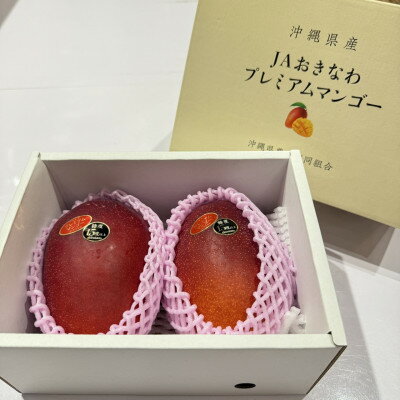 【ふるさと納税】【2026年6月から順次発送】糖度15度以上!JAおきなわが厳正したプレミアムマンゴー2玉【配送不可地域：離島】【1641002】 サムネイル3