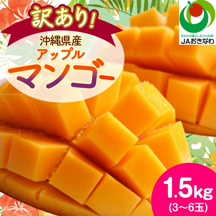 【2026年6月から順次発送・訳あり】アップルマンゴー1.5kg(3～6玉)_ マンゴー フルーツ 果物 くだもの アップルマンゴー 人気 おすすめ 送料無料 訳あり 数量限定 期間限定 傷 規格外 完熟 沖縄県 冷蔵 【配送不可地域：離島】【1494040】