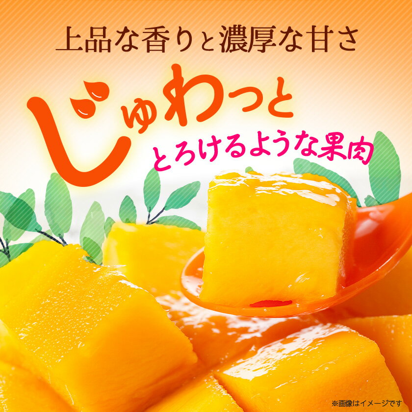 【ふるさと納税】【2026年6月から順次発送・訳あり】アップルマンゴー1.5kg(3～6玉)_ マンゴー フルーツ 果物 くだもの アップルマンゴー 人気 おすすめ 送料無料 訳あり 数量限定 期間限定 傷 規格外 完熟 沖縄県 冷蔵 【配送不可地域：離島】【1494040】 サムネイル2