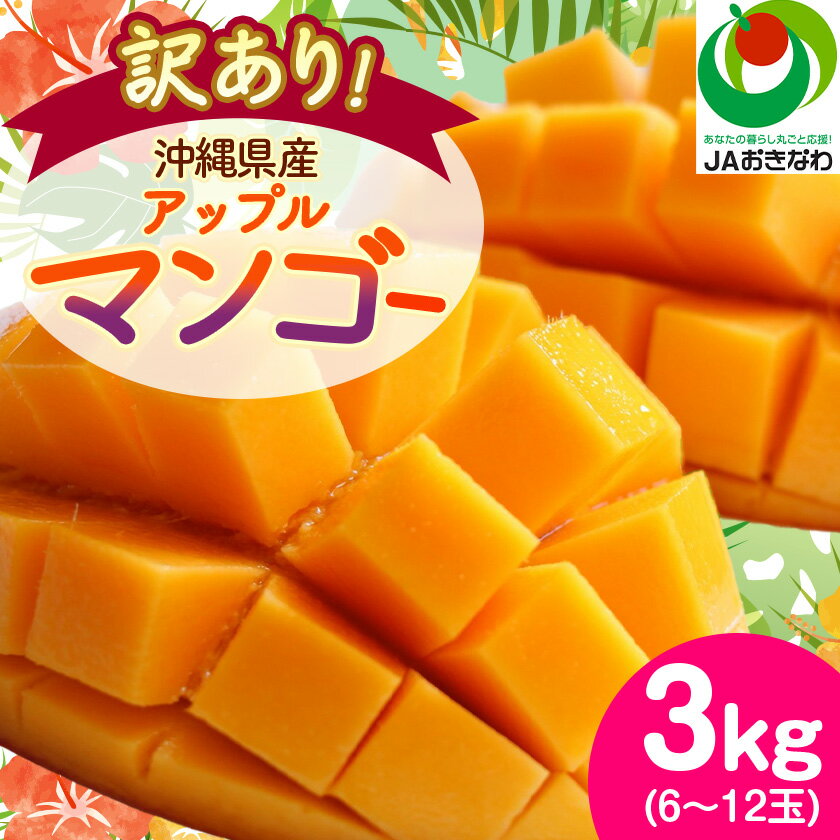 【2026年6月から順次発送・訳あり】アップルマンゴー3.0kg(6～12玉)_ マンゴー フルーツ 果物 くだもの アップルマンゴー 人気 おすすめ 送料無料 訳あり 数量限定 期間限定 傷 規格外 完熟 沖縄県 冷蔵 【配送不可地域：離島】【1494041】