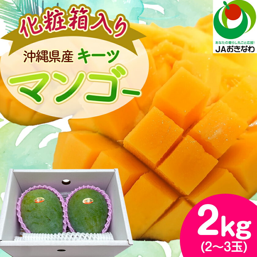 【2026年8月から順次発送・化粧箱】JAおきなわ厳選!沖縄県産キーツマンゴー2kg(2～3玉)_ マンゴー フルーツ 果物 くだもの キーツマンゴー 人気 おすすめ 送料無料 贈答 ギフト プレゼント 化粧箱 完熟 沖縄県 常温 【配送不可地域：離島】【1494471】