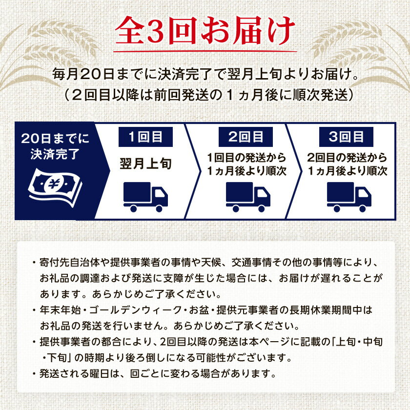 【ふるさと納税】【毎月定期便】オリオンビール ザ・ドラフト(350ml×24缶)全3回【4058703】 サムネイル3