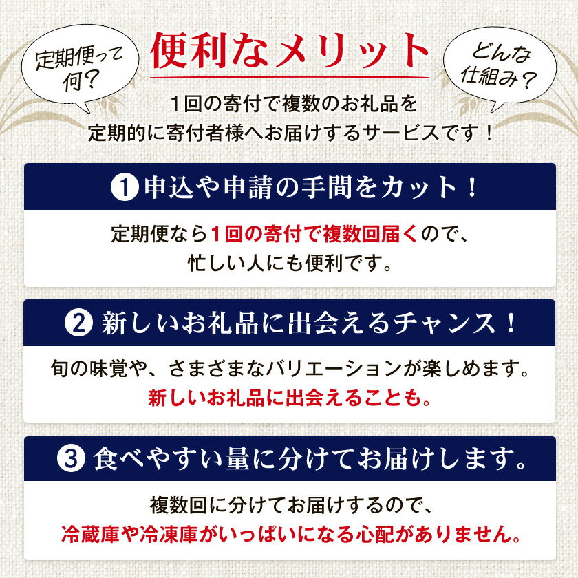 【ふるさと納税】【毎月定期便】3ヵ月定期便!オリオンビール オリオン 麦職人(350ml×24本)全3回【4058870】 サムネイル2