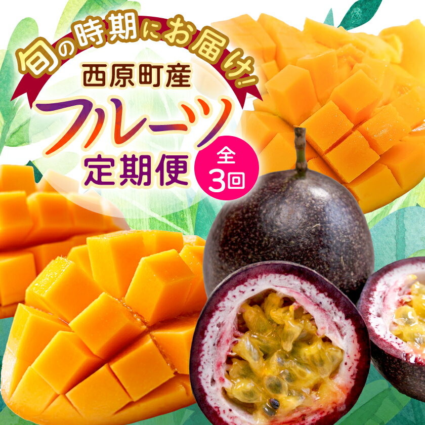 【発送月固定定期便】沖縄の豊かな自然で育ったフルーツ定期便全3回_ 定期便 フルーツ 果物 ふるーつ 沖縄 パッションフルーツ アーウィンマンゴー キーツマンゴー 贈答 ギフト 人気 おすすめ 【配送不可地域：離島】【4058900】