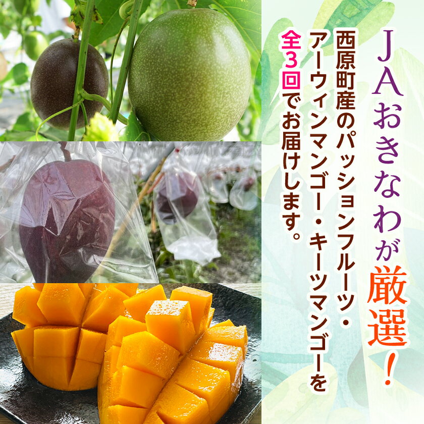 【ふるさと納税】【発送月固定定期便】沖縄の豊かな自然で育ったフルーツ定期便全3回_ 定期便 フルーツ 果物 ふるーつ 沖縄 パッションフルーツ アーウィンマンゴー キーツマンゴー 贈答 ギフト 人気 おすすめ 【配送不可地域：離島】【4058900】 サムネイル2