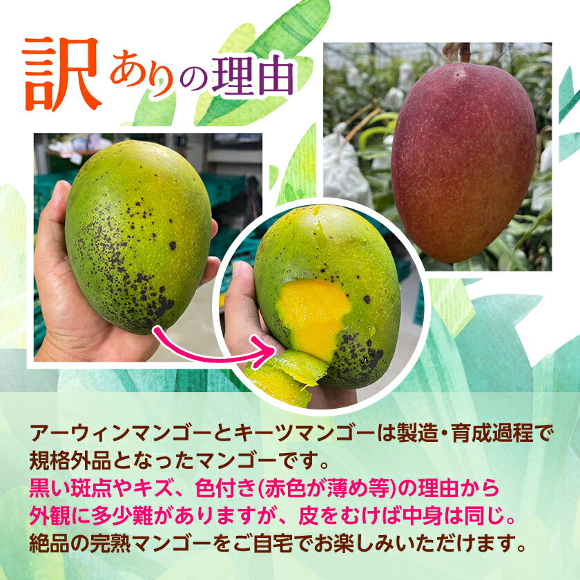 【ふるさと納税】【発送月固定定期便】沖縄の豊かな自然で育ったフルーツ定期便全3回_ 定期便 フルーツ 果物 ふるーつ 沖縄 パッションフルーツ アーウィンマンゴー キーツマンゴー 贈答 ギフト 人気 おすすめ 【配送不可地域：離島】【4058900】 サムネイル3