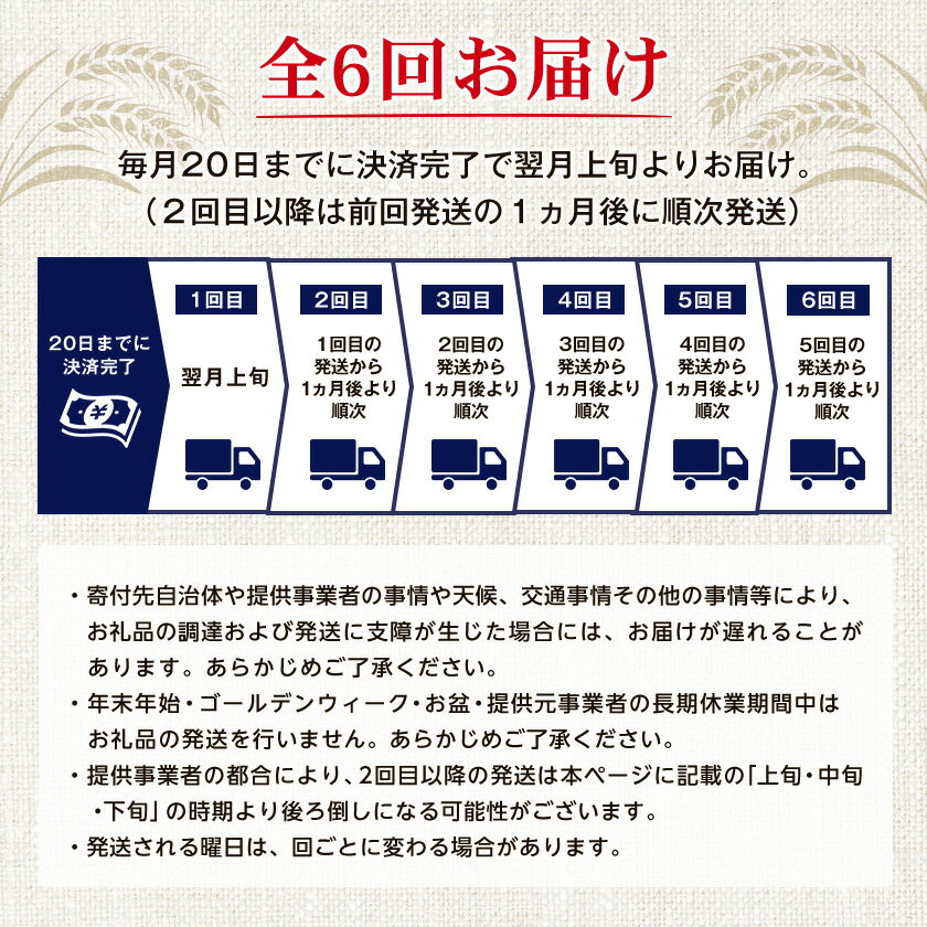 【ふるさと納税】【毎月定期便】オリオンビール オリオン ザ・プレミアム(350ml×24本)全6回【4058707】 サムネイル3