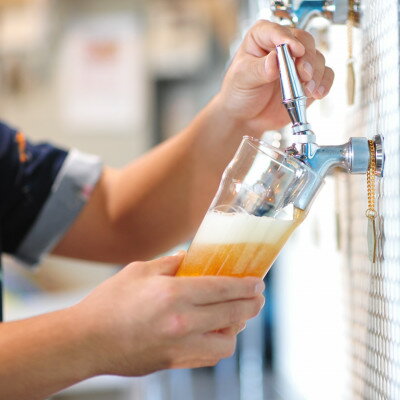 【ふるさと納税】AGARIHAMA IPA 6本セット【配送不可地域：離島】【1467304】 サムネイル2