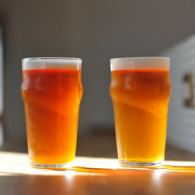 【ふるさと納税】AGARIHAMA IPA 6本セット【配送不可地域：離島】【1467304】 サムネイル3