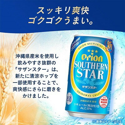 【ふるさと納税】オリオンビール オリオン サザンスター(350ml×24本)【1629250】 サムネイル2