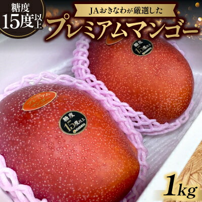【2026年6月から順次発送】糖度15度以上!JAおきなわが厳選したプレミアムマンゴー1kg【配送不可地域：離島】【1671125】