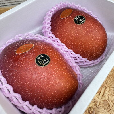 【ふるさと納税】【2026年6月から順次発送】糖度15度以上!JAおきなわが厳選したプレミアムマンゴー1kg【配送不可地域：離島】【1671125】 サムネイル2