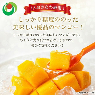 【ふるさと納税】【発送月固定定期便】2026年発送マンゴー2種の食べ比べセット 全2回【配送不可地域：離島】【4012836】 サムネイル2