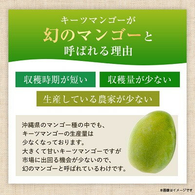 【ふるさと納税】【発送月固定定期便】2026年発送マンゴー2種の食べ比べセット 全2回【配送不可地域：離島】【4012836】 サムネイル3