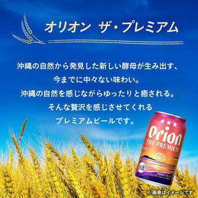 【ふるさと納税】【毎月定期便】毎月届く楽しみ!オリオンビール ザ・プレミアム 350ml×24本全6回【4074837】 サムネイル2