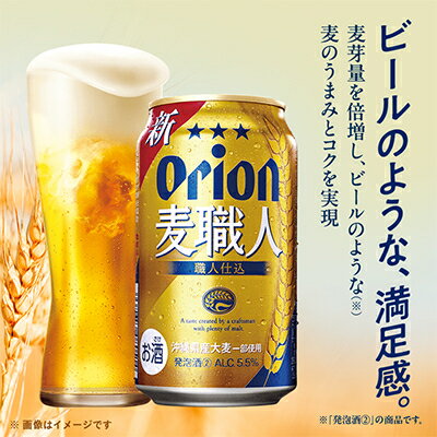 【ふるさと納税】【毎月定期便】毎月届く楽しみ!オリオン麦職人 350ml×24本全12回【4074841】 サムネイル2