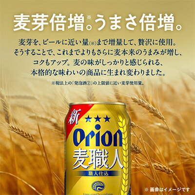 【ふるさと納税】【毎月定期便】毎月届く楽しみ!オリオン麦職人 350ml×24本全12回【4074841】 サムネイル3