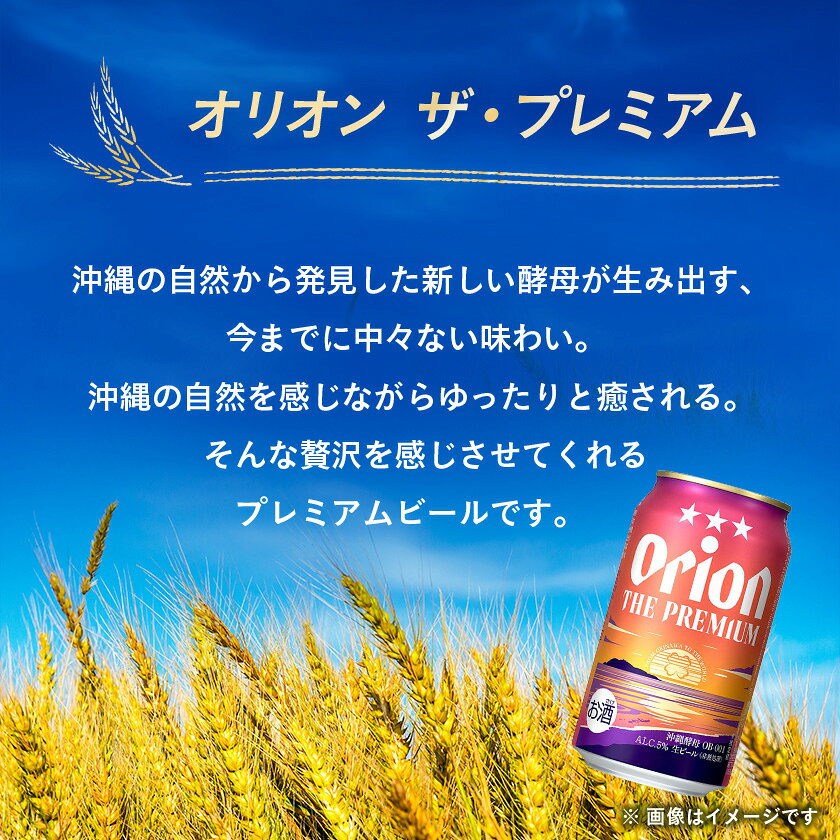 【ふるさと納税】オリオンビール　オリオンザ・プレミアム(350ml×24本)【1644488】 サムネイル2