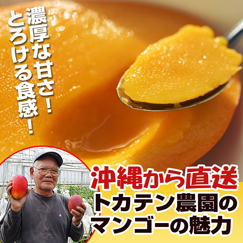 【ふるさと納税】【2026年発送】濃厚な甘さ！とろける食感！沖縄県産マンゴー1kg サムネイル3