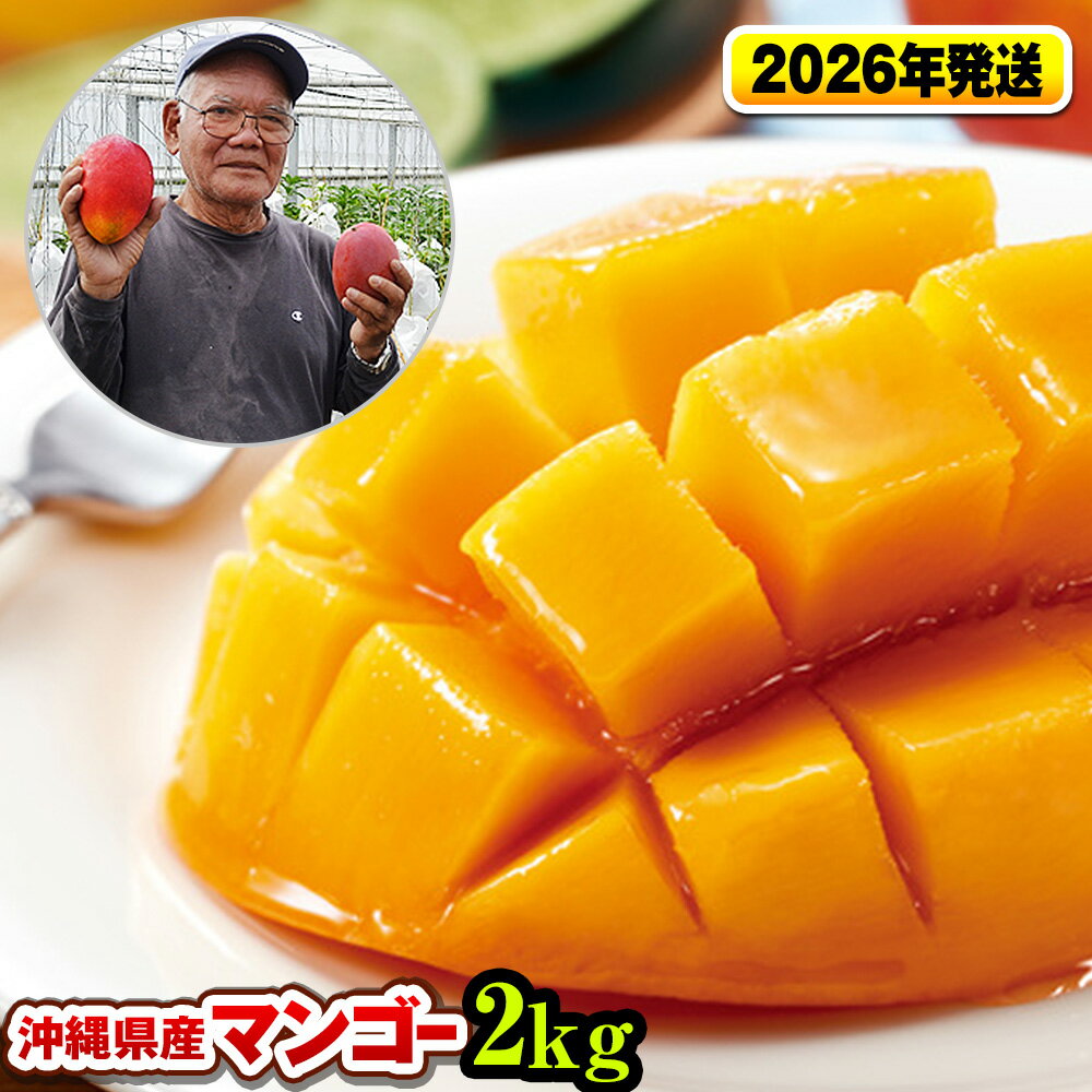 【2026年発送】濃厚な甘さ！とろける食感！沖縄県産マンゴー2kg