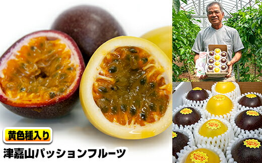 【2026年発送】津嘉山パッションフルーツ　黄色種入り　約1kg