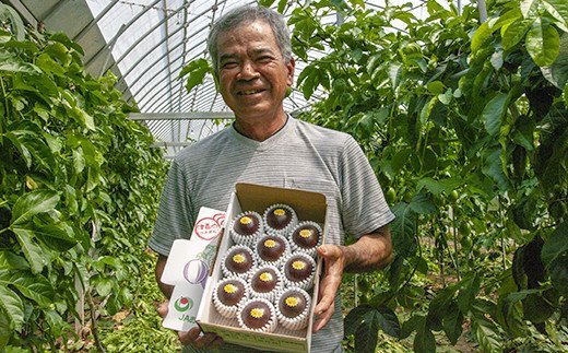 【ふるさと納税】【2026年発送】津嘉山パッションフルーツ　黄色種入り　約1kg サムネイル3