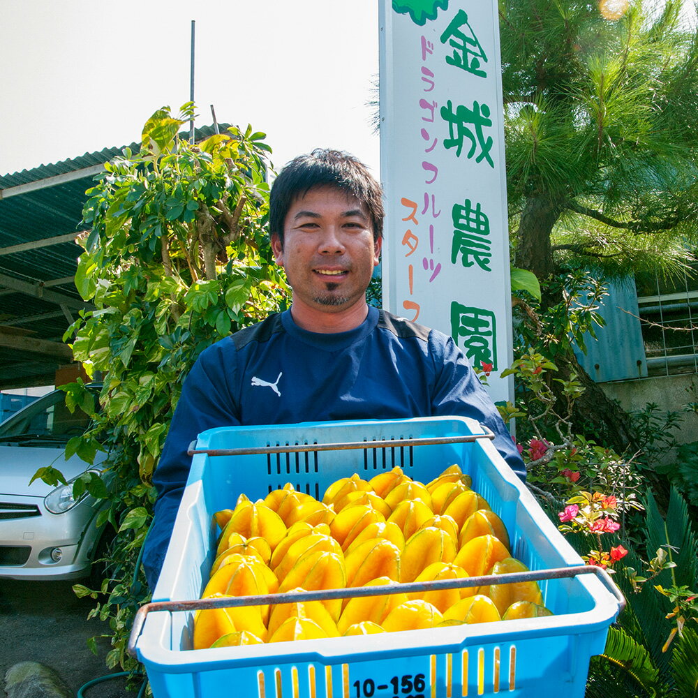 【ふるさと納税】【2026年1月から順次発送】星形をした果物　スターフルーツ　約2kg サムネイル3